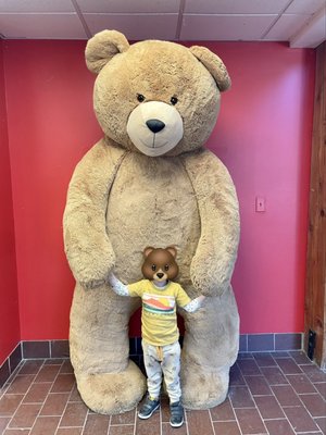 Vermont Teddy Bear Factory by null