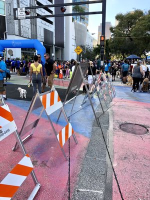 Huizenga Park by null