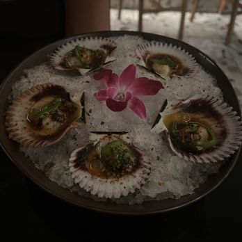 Cala - Peruvian Scallop Crudo - Mediterranean Near Me - Scottsdale, Arizona