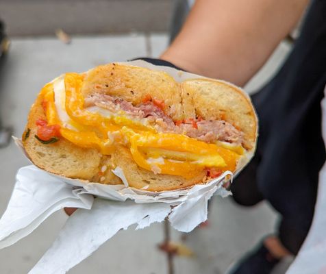 Schlok's Bagels & Lox by null