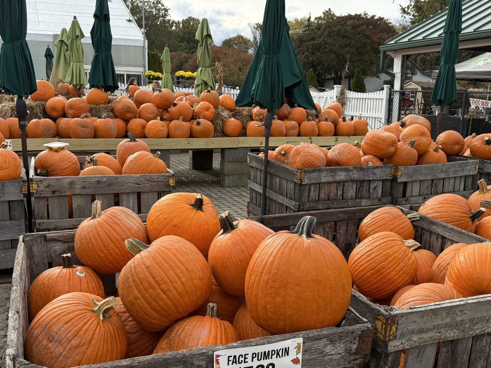 Homestead Gardens - beekeeping in Davidsonville, MD