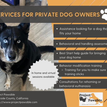 Project Pawsible - Pet Training Near Me Project Pawsible - Pet Training Near Me