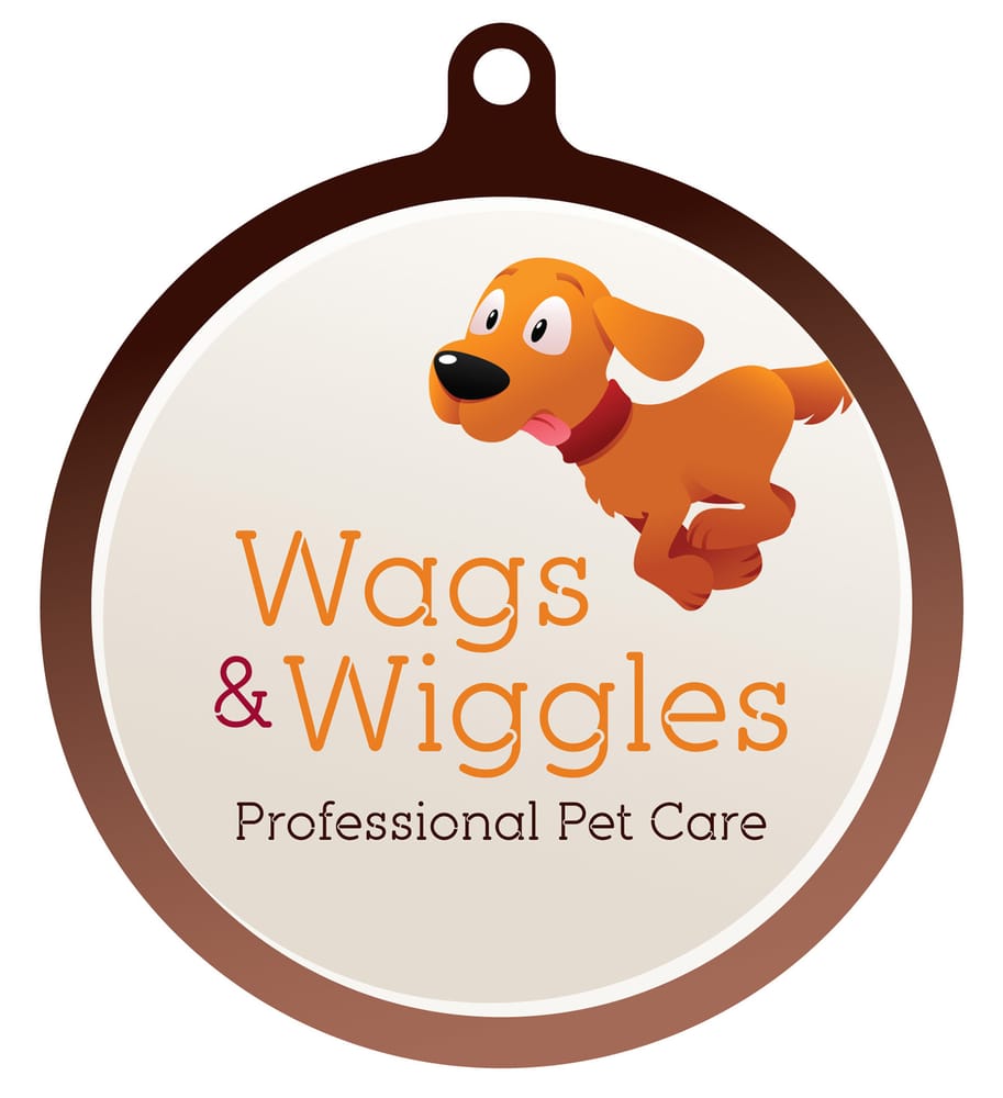 WAGS & WIGGLES 3, Bristol, Derbyshire, United Kingdom Dog Walkers