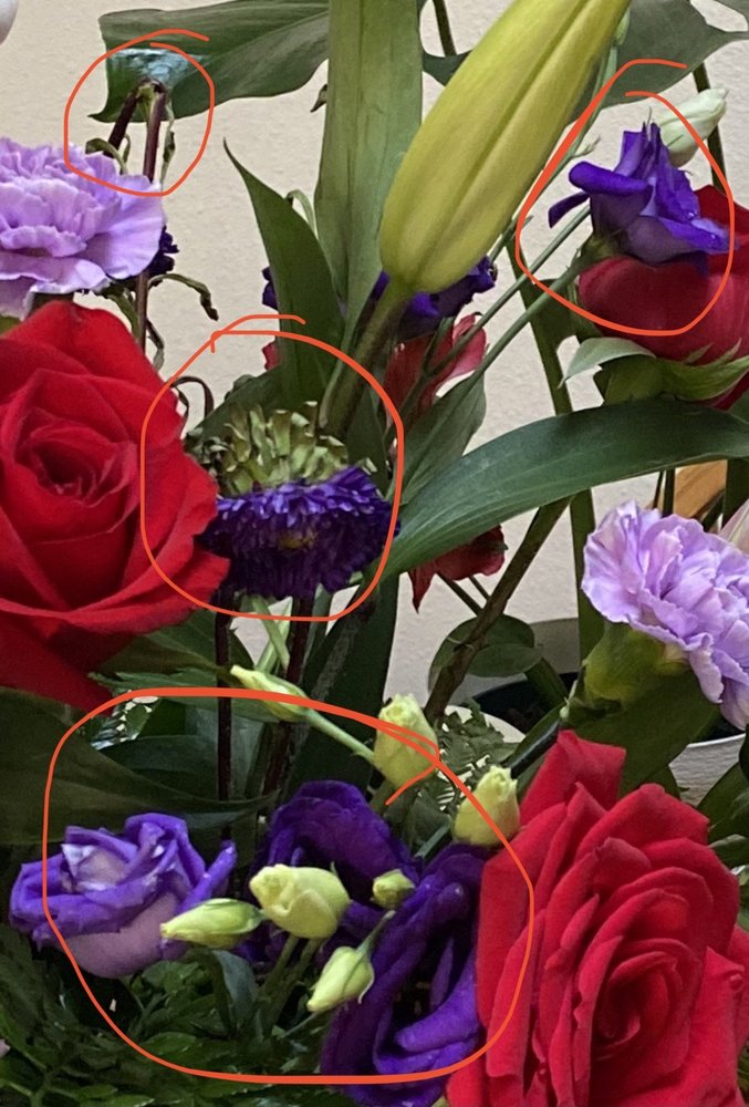 FIESTA Updated October 2024 20 Photos & 22 Reviews 2105 Dona Ana