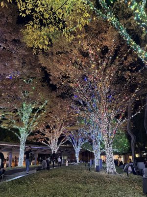 Roppongi Hills by null