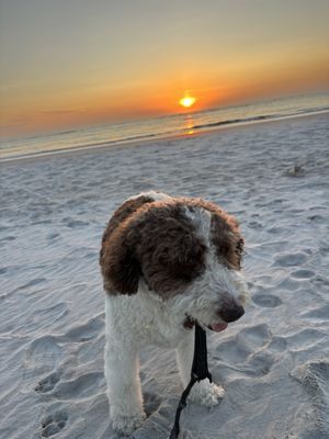 Vilano Beach by null