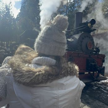 Yosemite Mountain Sugar Pine Railroad - Tours Near Me - Fish Camp, California