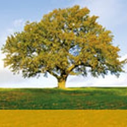 Eatons - Personal Solicitors