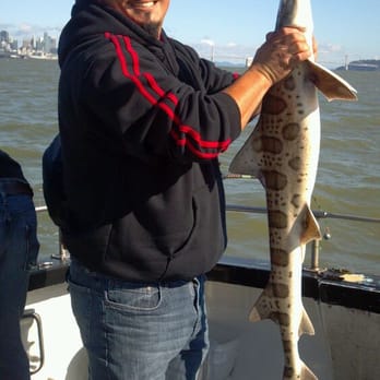 Soleman Sportfishing - My best leopard shark of the day! - Boating Near Me - San Francisco, California Soleman Sportfishing - My best leopard shark of the day! - Boating Near Me - San Francisco, California