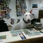 Photo of Animal Clinic