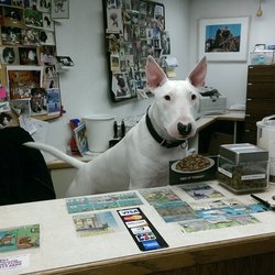Animal Clinic