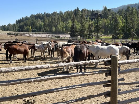 Lost Creek Ranch & Spa by null