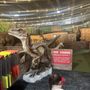 Photo of Prehistoric Putt