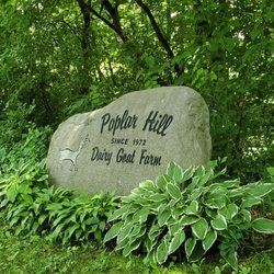 Poplar Hill Dairy Goat Farm