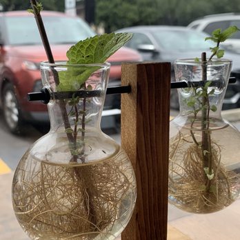 Trendy Vegan - Table decor - Vegan Near Me - Houston, Texas Trendy Vegan - Table decor - Vegan Near Me - Houston, Texas