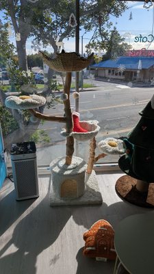 Meows Rakuen by null