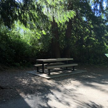 Bradley Lake Park - One of the many picnic tables - Parks Near Me - Puyallup, Washington