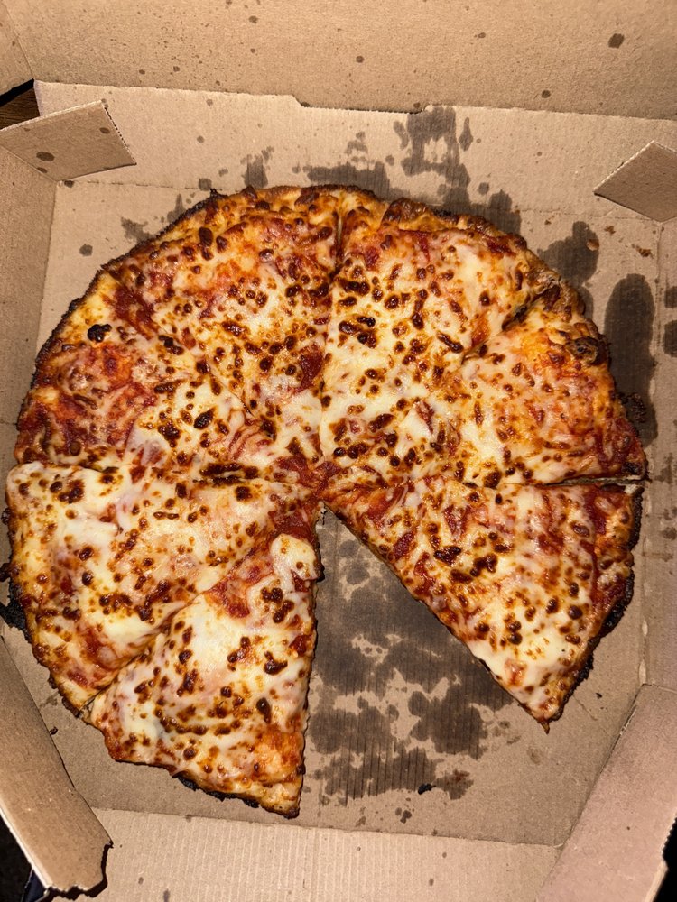Domino's Pizza Logo