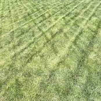 Mountain Sky Landscaping - New lawn and irrigation installed. - Landscaping Near Me - Bend, Oregon