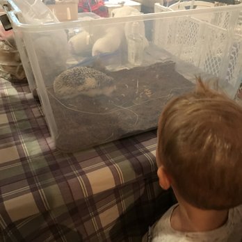 Curious Critters by Casai - Petting Zoos Near Me