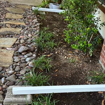 Palm Gardens - Landscaping Near Me - Dallas, Texas Palm Gardens - Landscaping Near Me - Dallas, Texas