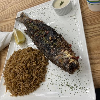 Samaka - Sea bass - Seafood Near Me - Toronto, Ontario Samaka - Sea bass - Seafood Near Me - Toronto, Ontario