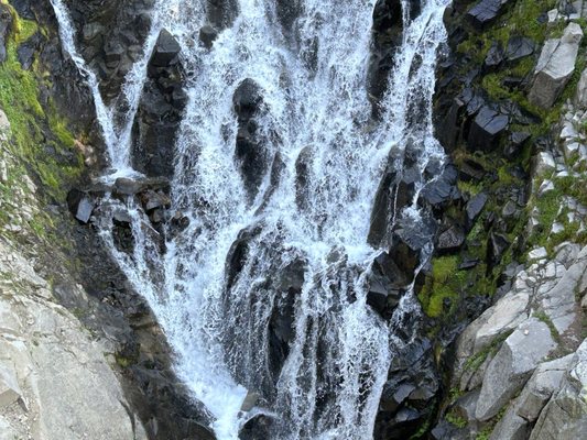Myrtle Falls by null
