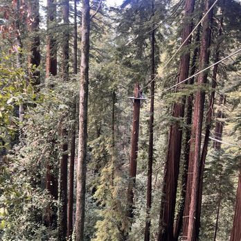 Mount Hermon Adventures - zipline view - Challenge Courses Near Me - Mount Hermon, California