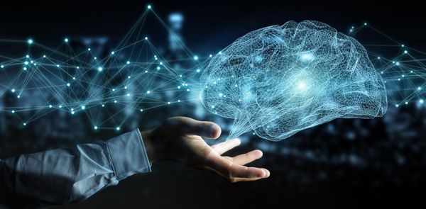 Michigan Neurology Associates & Pain Consultants