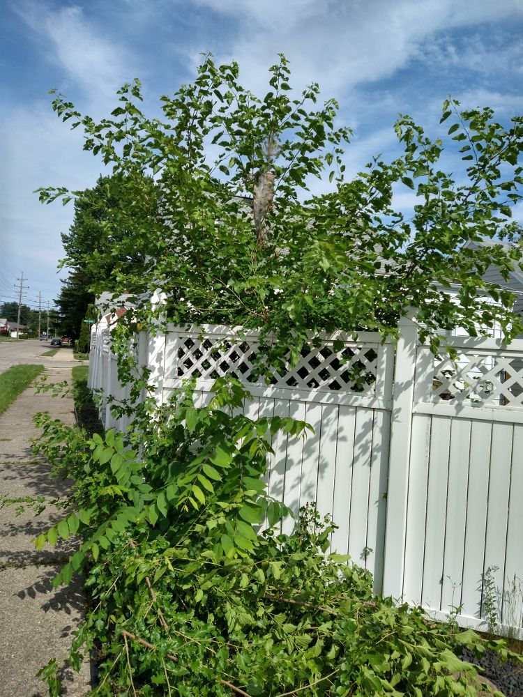 Slide of All About Service