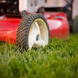 Yard & Nursery Depot - We carry TORO lawn mowers and are always ready and waiting to help you.