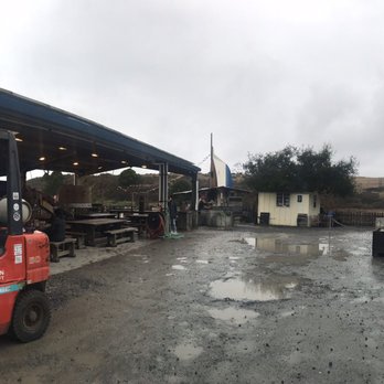 Hog Island Oyster - Sitting area for eating in. - Seafood Near Me - Marshall, California Hog Island Oyster - Sitting area for eating in. - Seafood Near Me - Marshall, California