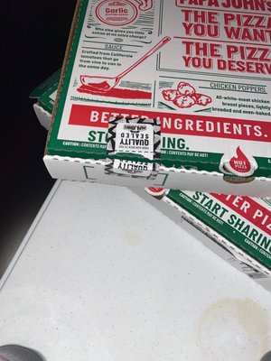 Papa Johns Pizza by null