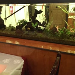 China-Restaurant Kun Lun - Natürlich mit Aquarium.