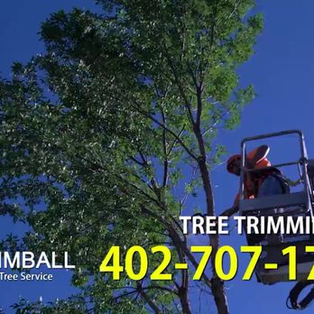 Kimball Tree Service - Call Craig - Kimball Tree Service for all your tree care & service needs www.kimballtreeservices.com - Tree Services Near Me - Bellevue, Nebraska Kimball Tree Service - Call Craig - Kimball Tree Service for all your tree care & service needs www.kimballtreeservices.com - Tree Services Near Me - Bellevue, Nebraska