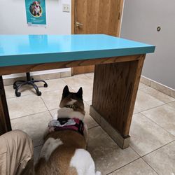 Coffee Road Animal Hospital & Pet Resort - Waiting rm 2