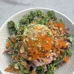Salmon Sashimi