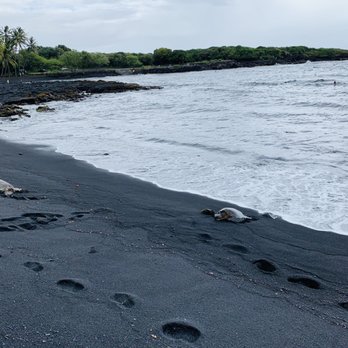 Punalu'u Black Sand Beach - Turtles - Beaches Near Me - Pahala, Hawaii Punalu'u Black Sand Beach - Turtles - Beaches Near Me - Pahala, Hawaii