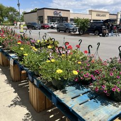 Fresh Thyme Market