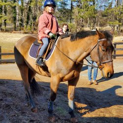Dover Saddlery - Pants, helmet and shoes we got