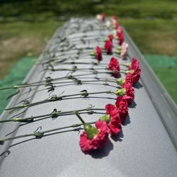 Shannon Family Mortuary