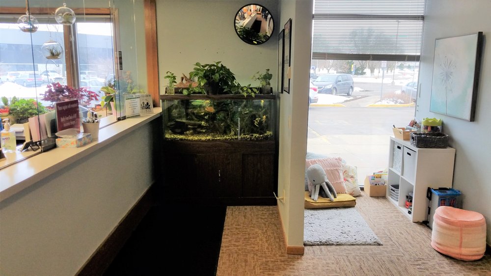 Family Service Madison - grief counselor in Madison, WI