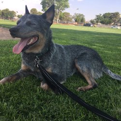 John C Page Park