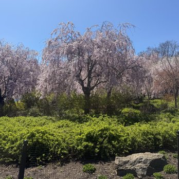 Branch Brook Park - Branch Brook Park -- April 11, 2026 - Parks Near Me - Newark, New Jersey