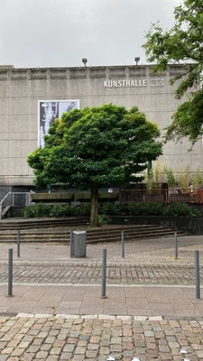Kunsthalle Düsseldorf by null