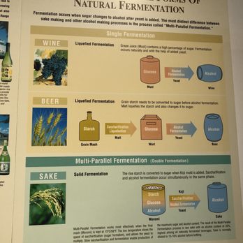 Takara Sake USA - Sake brewing overview - very different than beer and wine - Museums Near Me - Berkeley, California Takara Sake USA - Sake brewing overview - very different than beer and wine - Museums Near Me - Berkeley, California