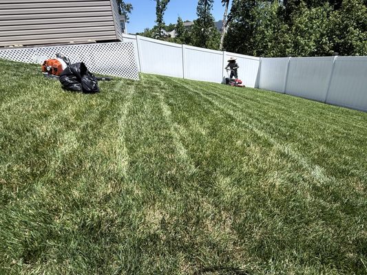 Hernandez Garden Service on Yelp