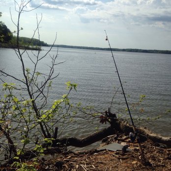 Occoneechee State Park - Fishing spot near campsite - Parks Near Me - Clarksville, Virginia