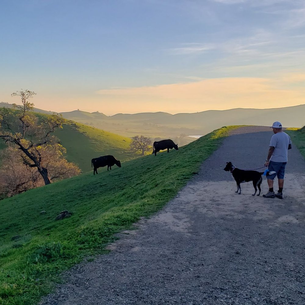 TOP 10 BEST Scenic Drive in Solano County, CA - Updated 2026 - Yelp