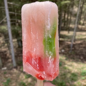Canopy Cafe - Pittsburgh Botanic Garden - Popsicle from the on-site Canopy Cafe . . . - Cafes Near Me - Oakdale, Pennsylvania